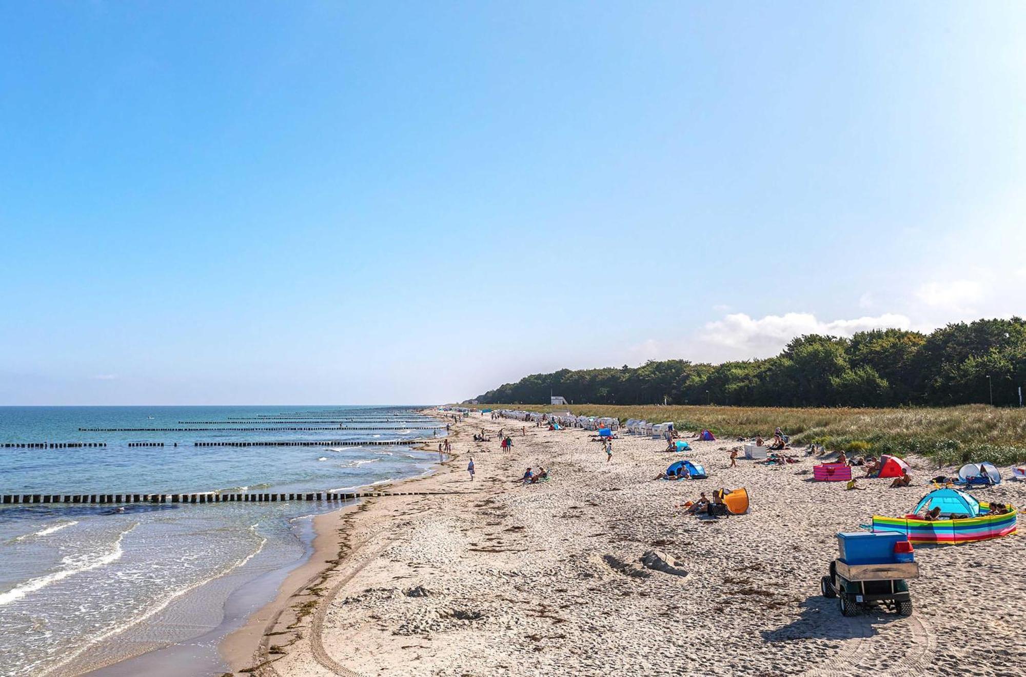 Seebaer Mit Terrasse Zingst Exterior foto
